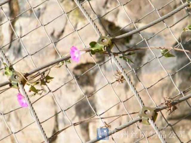 柔性防護(hù)網(wǎng)--04